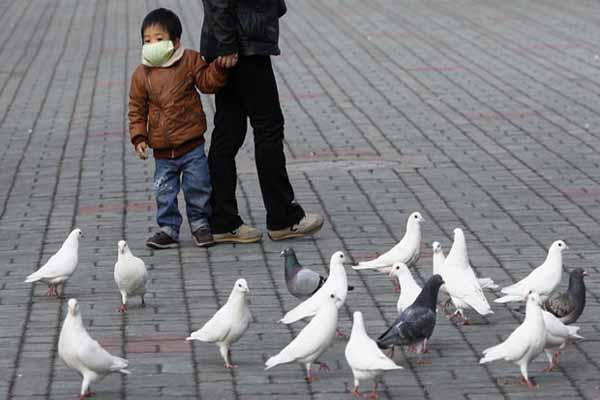 China bird flu death toll rises to 22