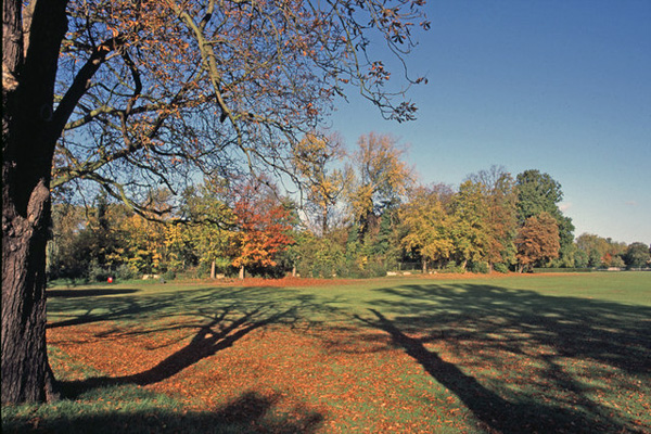 Parks make cleaner sweep in Enfield