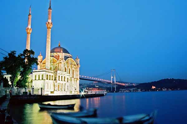 Istanbul to host UN Forum on forests