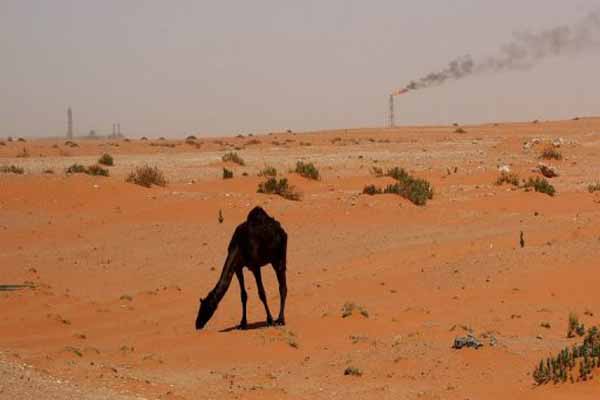 Middle East companies run over $1bn worth projects in Ethiopia