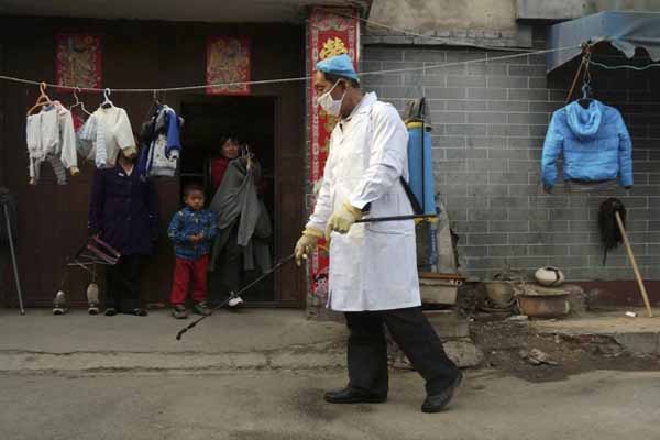 New bird flu case found in northeastern China