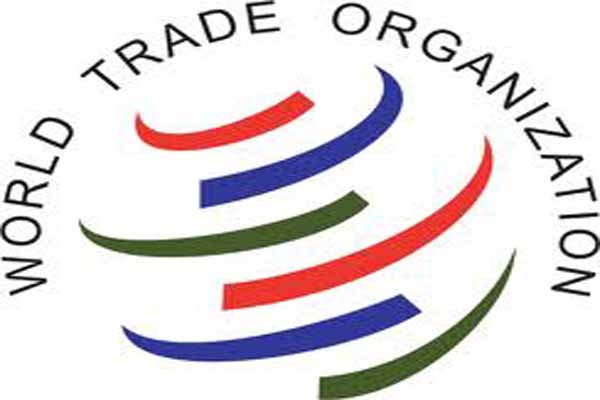 WTO to select new director-general