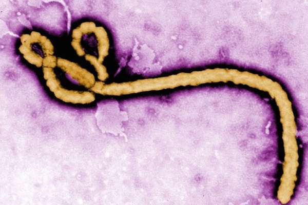 Ebola quarantine lifted on Liberia's West Point