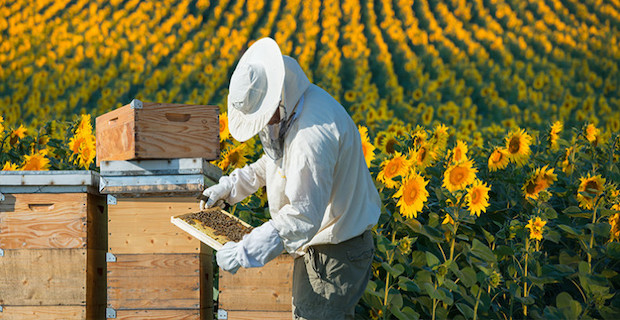 Turkey world’s second largest beekeeping country