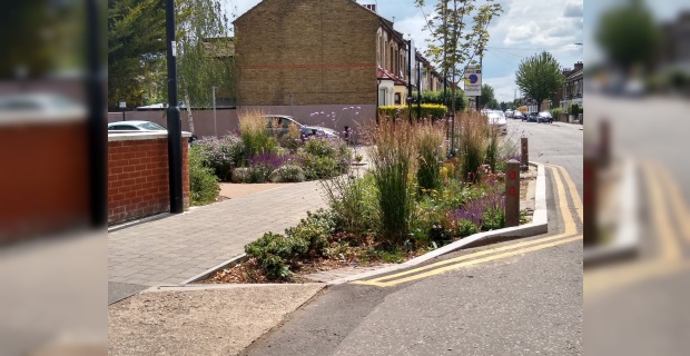 Enfield’s green features recognised in prestigious environmental award