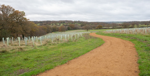 Work has begun to plant another 50,000 trees at Enfield Council’s extensive woodland restoration project