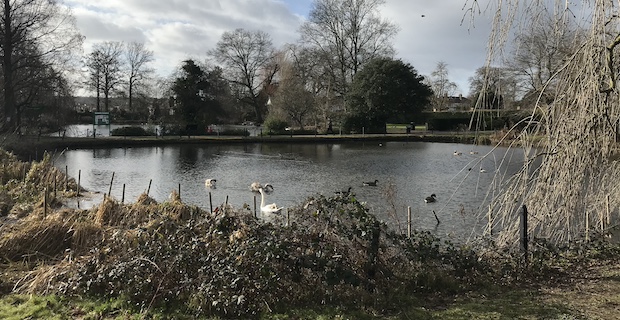 More than half a million pounds awarded to transform Broomfield Park project