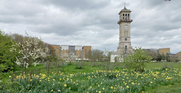 Islington’s beautiful Highbury Fields and hidden beauty of Gillespie Park