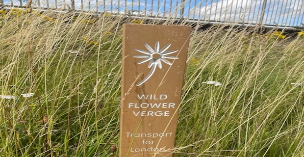 TfL has increased its area of wildflower verges by 130,000 m2