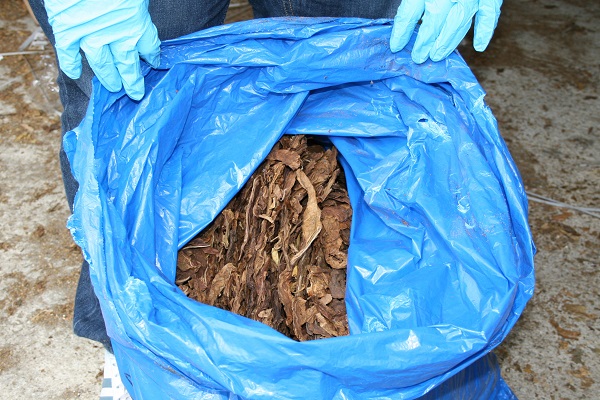 Nine arrested in suspected £11m tobacco fraud