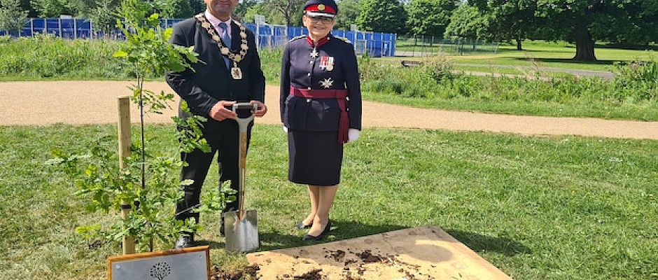 An English Oak sapling tree has been planted in Enfield to commemorate Queen Elizabeth’s 70-year reign
