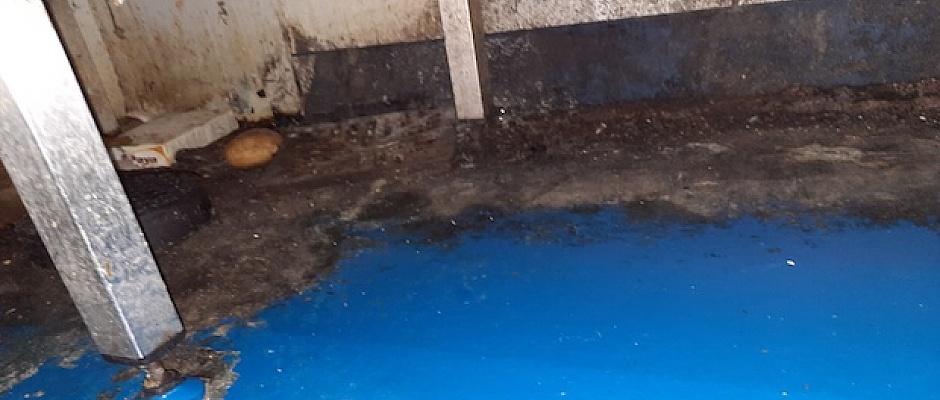 Confectionery company prosecuted over pest infestation
