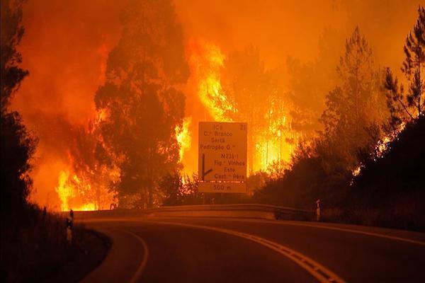 61 killed in forest fire in Portugal