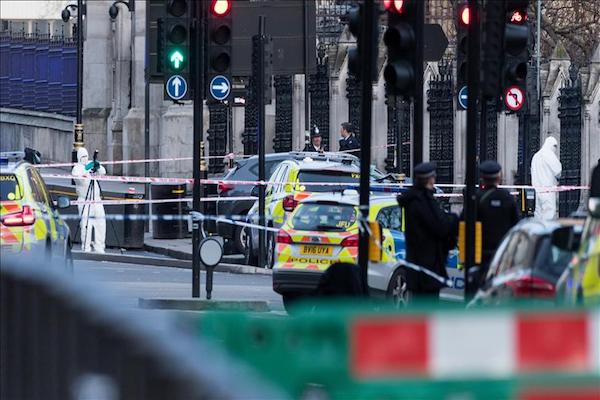 UK police arrested 7 after London terror attack