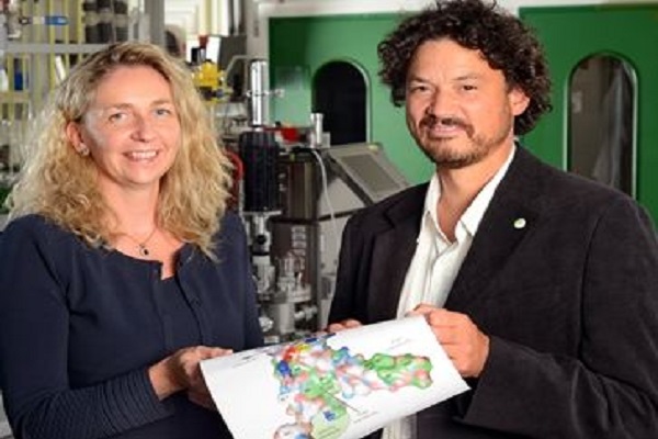 Protein research and industry are closely connected neighbours in Halle