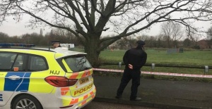 Girl, 17, dies in Harold Hill park