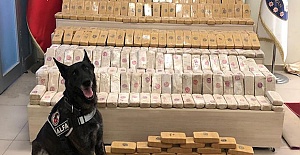 Over 80 kg of illicit drugs seized in Turkey