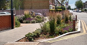 Enfield’s green features recognised in prestigious environmental award