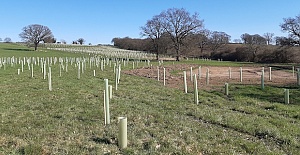 Residents around Enfield can suggest locations to plant trees