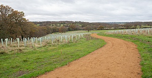 Work has begun to plant another 50,000 trees at Enfield Council’s extensive woodland restoration project