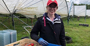 The seasonal fruit picking industry is struggling because of Brexit and the pandemic