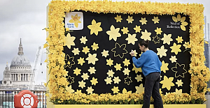 The wall will be open at Observation Point, on London's South Bank