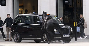 Horse hit tour bus! Runaway military horses bolted in central London ! 4 injured