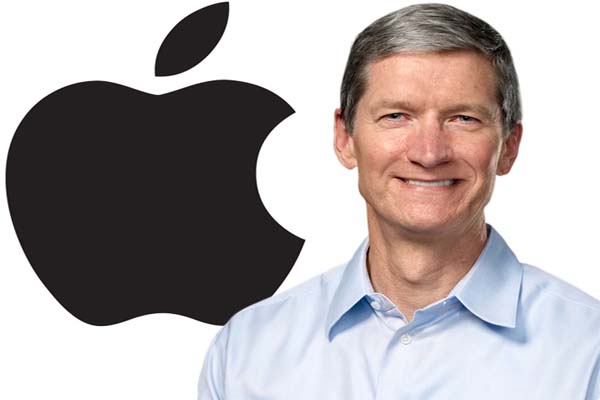 Apple CEO's Tim Cook 2013 pay steady but sees part of stock award shrink