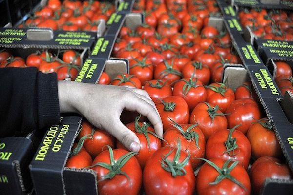 Import of tomatoes from Turkey in Russia beginning 1 November