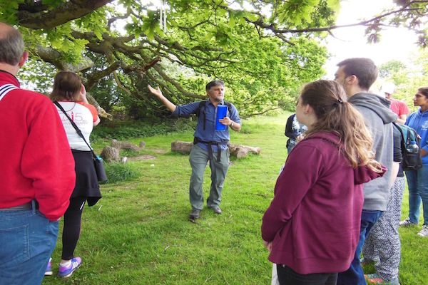 The Treasure of Trees Free Guided Walk