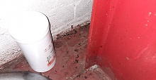 Confectionery company prosecuted over pest infestation