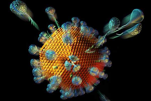 US baby born with HIV apparently